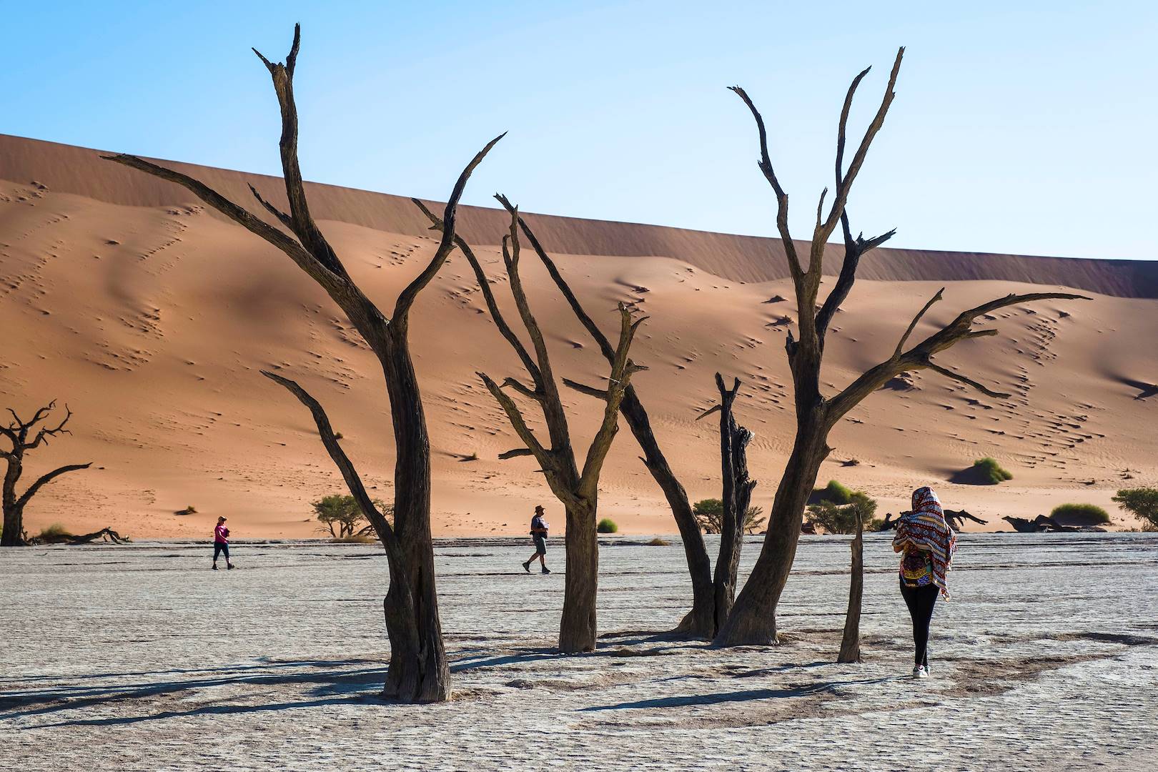 Désert de Sossusvlei - Désert du Namib - Namib Naukluft - Namibie