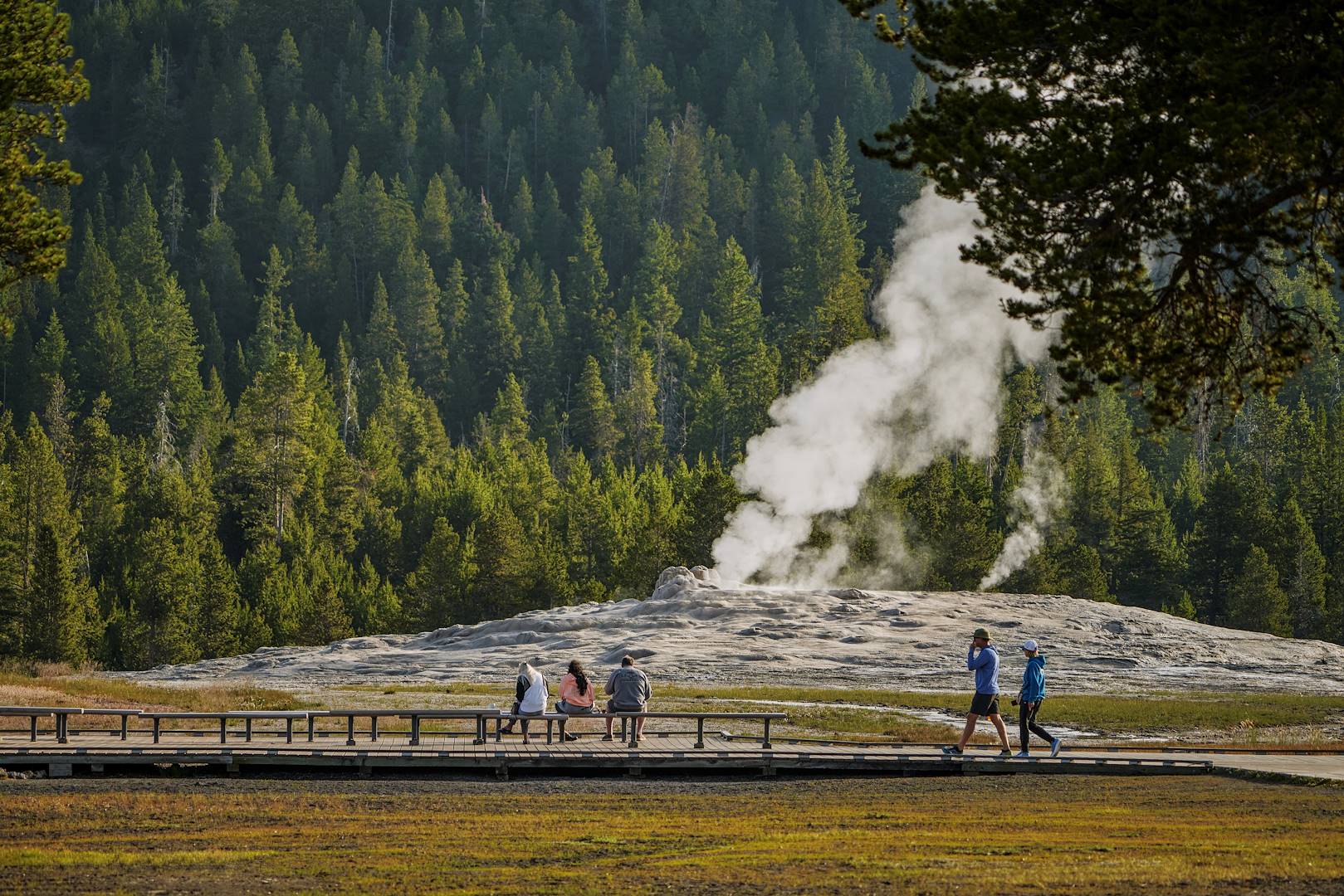 Parc National de Yellowstone - Wyoming - Etats-Unis