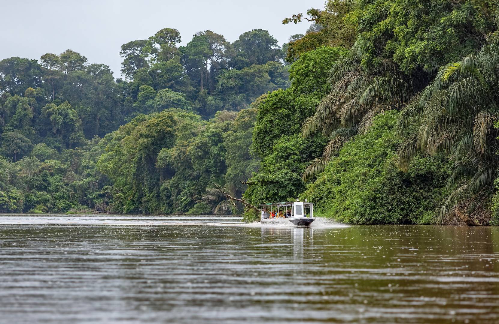 Balade en bateau à travers le Parc National Tortuguero - Costa Rica