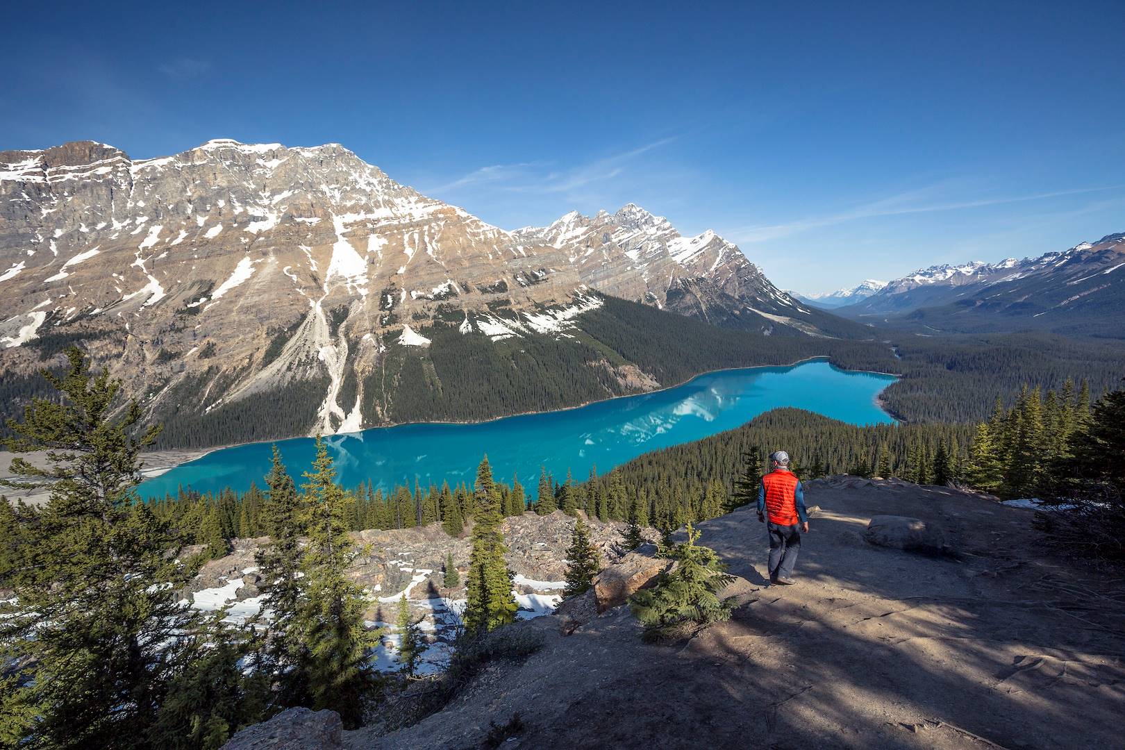 Randonneur face au lac Peyto - Parc National Banff - Alberta - Canada