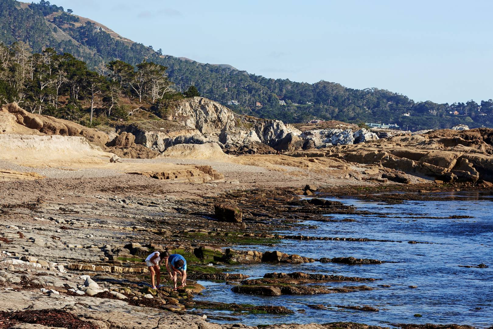 Scène de vie sur une plage de Monterey - Californie - Etats-Unis
