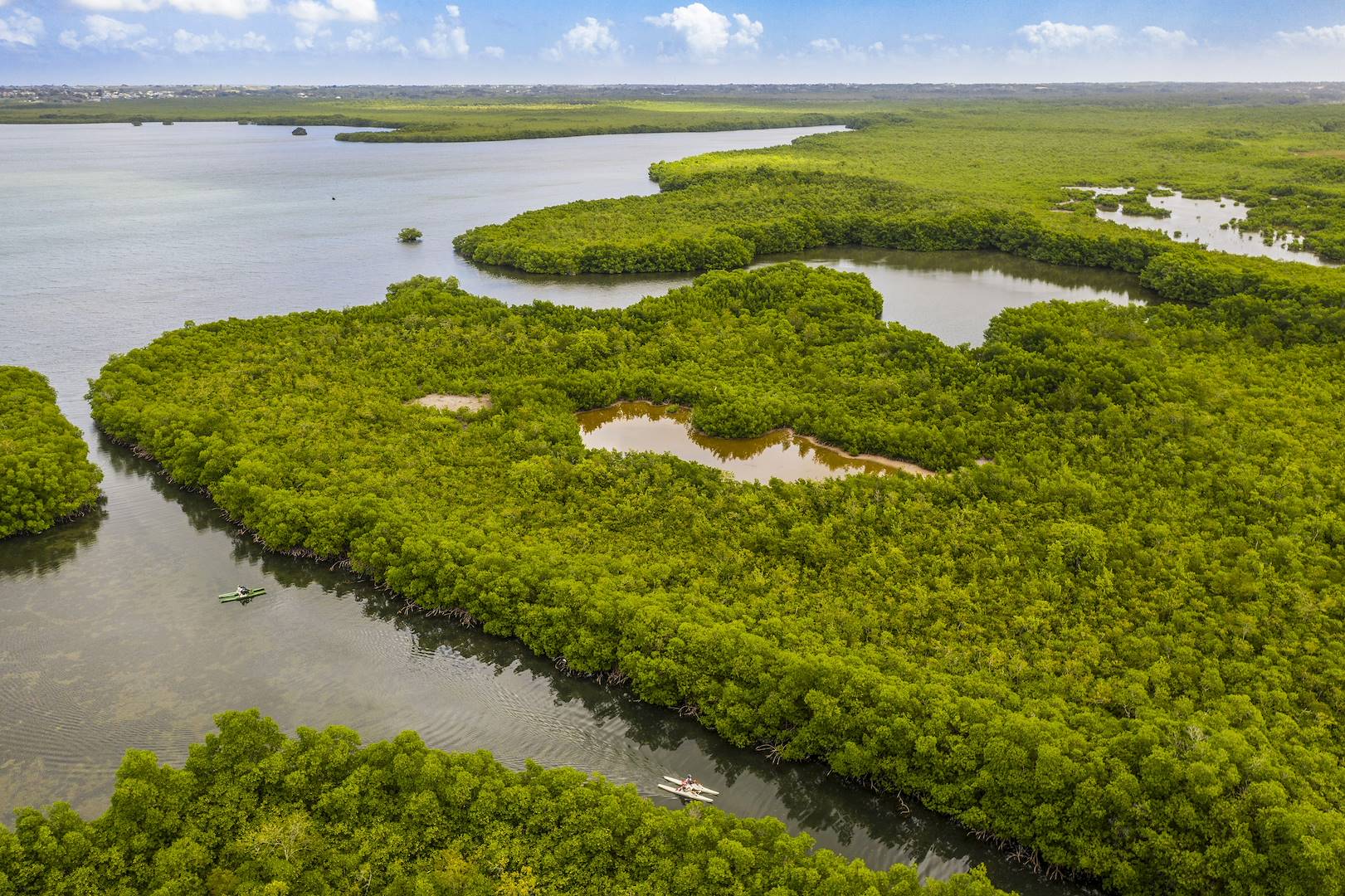 Découverte de la mangrove de Grand Cul de Sac Marin en kayak - Grande Terre - Guadeloupe