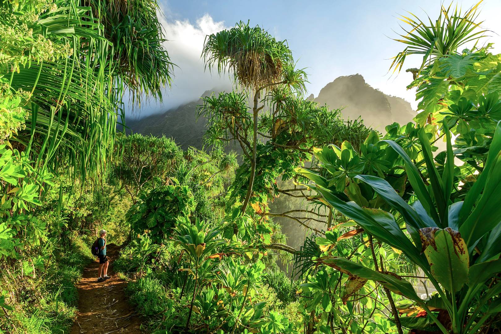 Randonnée sur l'île de Kauai - Hawaii - Etats-Unis