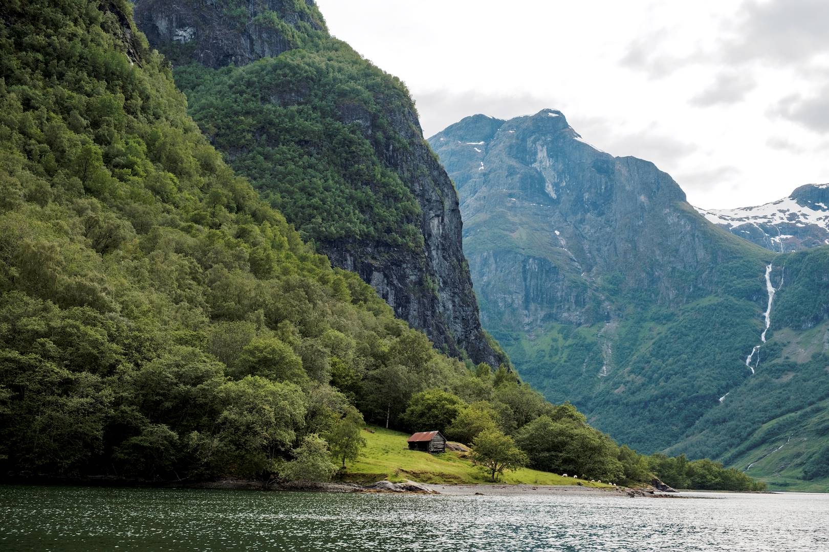 Observation de la faune et de la flore sur le Nærøyfjord, en bateau - Norvège