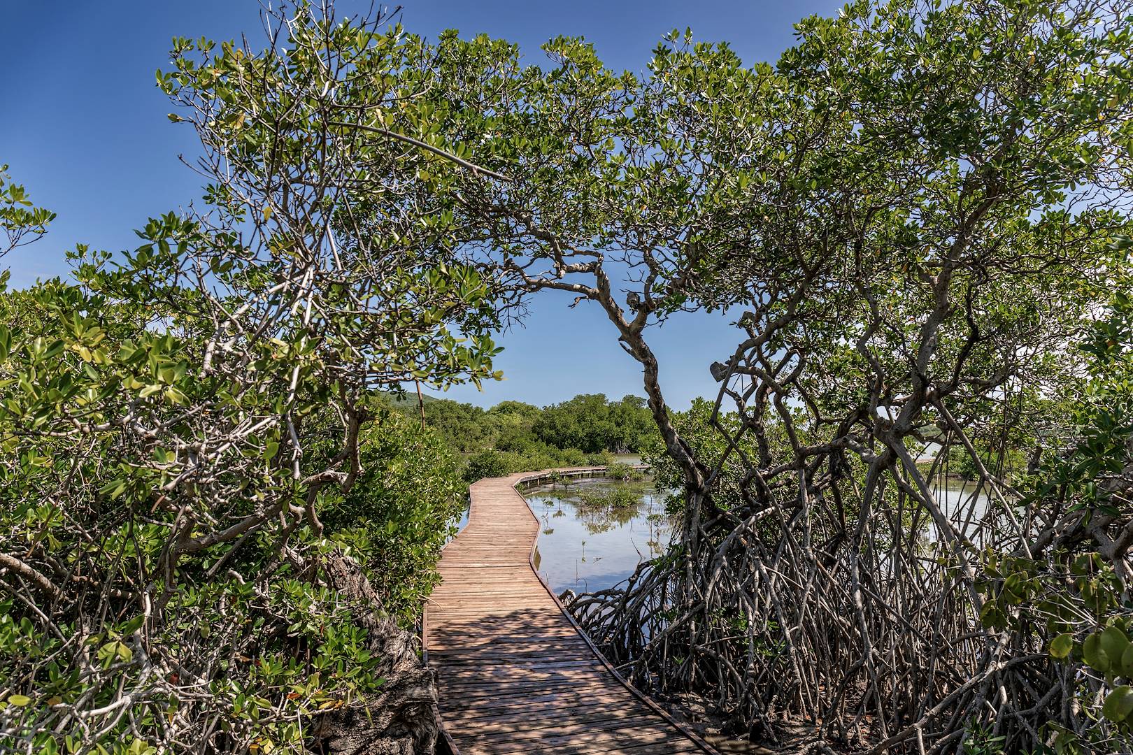 Presqu'île de la Caravelle - Martinique