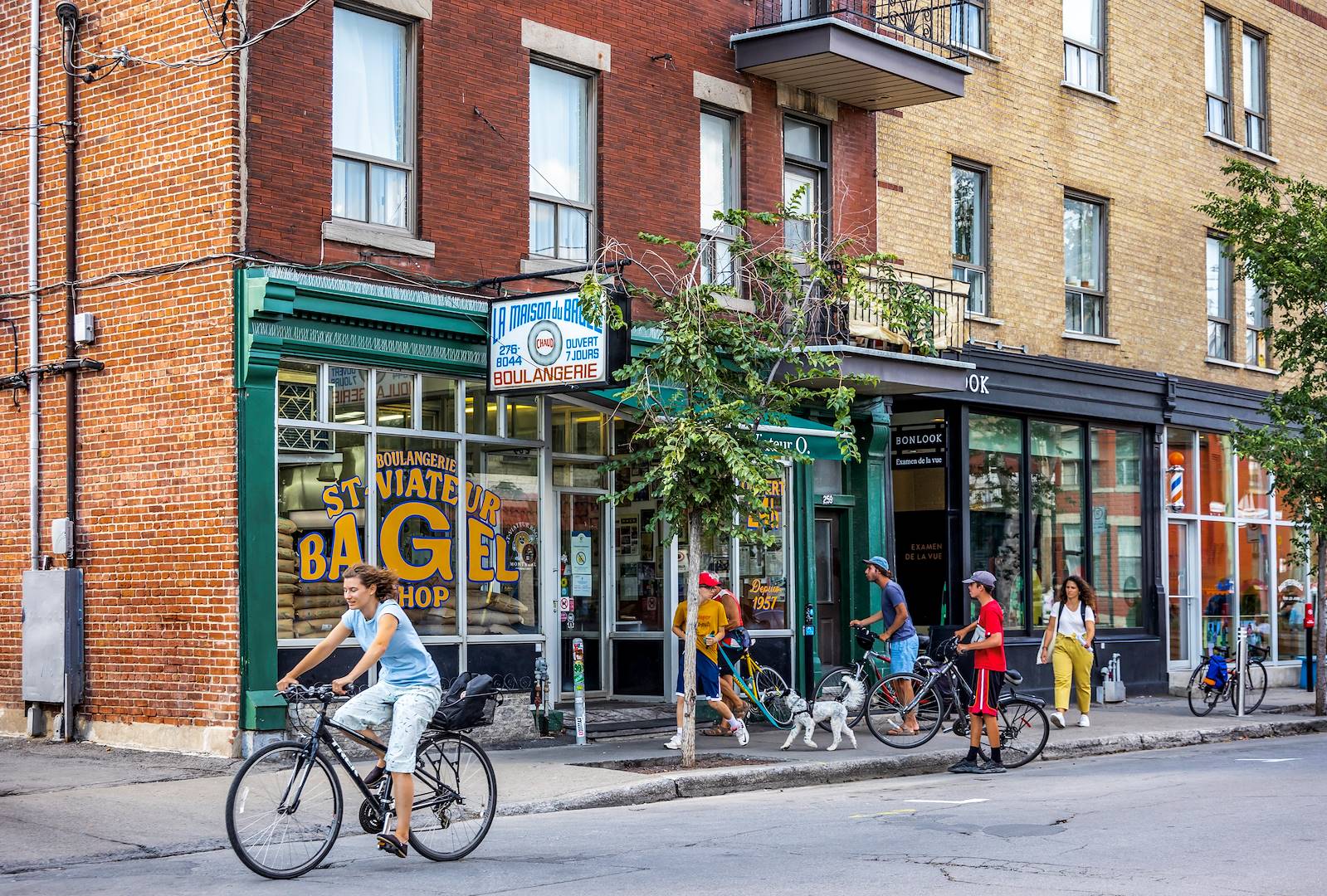 Mont Royal à Montréal - Québec - Canada
