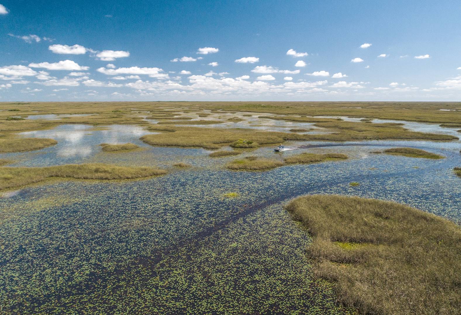 Parc national Everglades - Floride - Etats-Unis