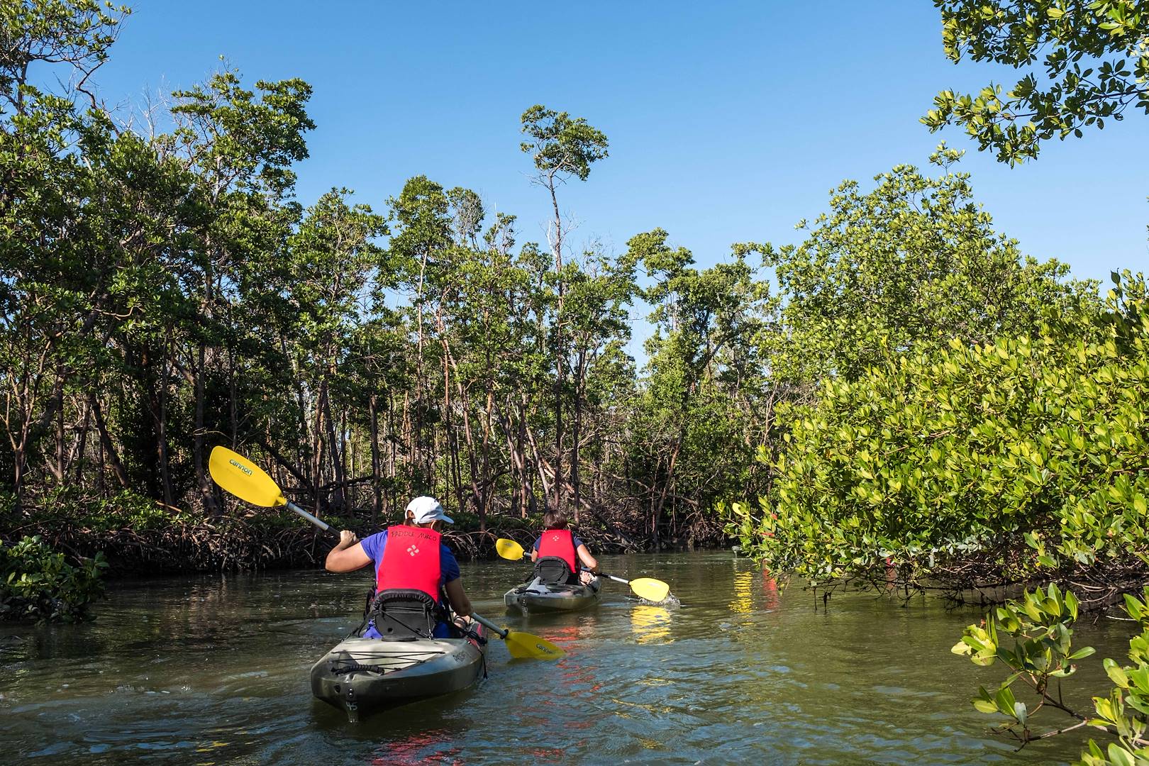 Kayak dans les mangroves de Fort Myers - Florde - Etats-Unis