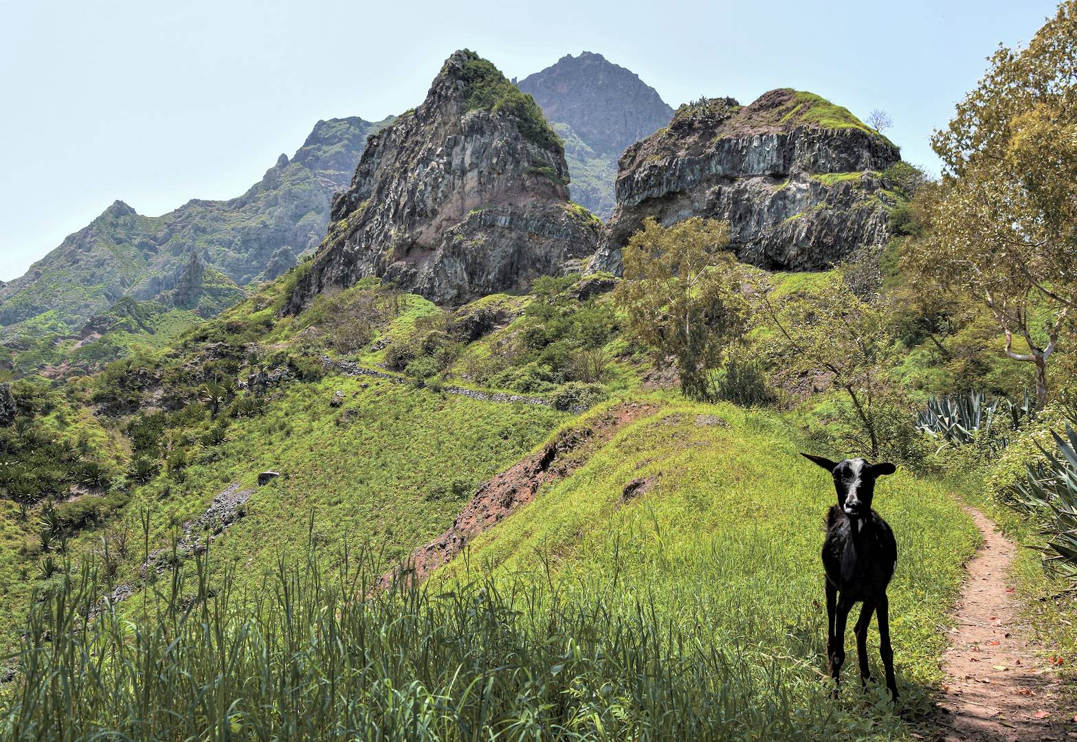 Au cœur de Serra Malaguetta - Île de Santiago - Cap Vert