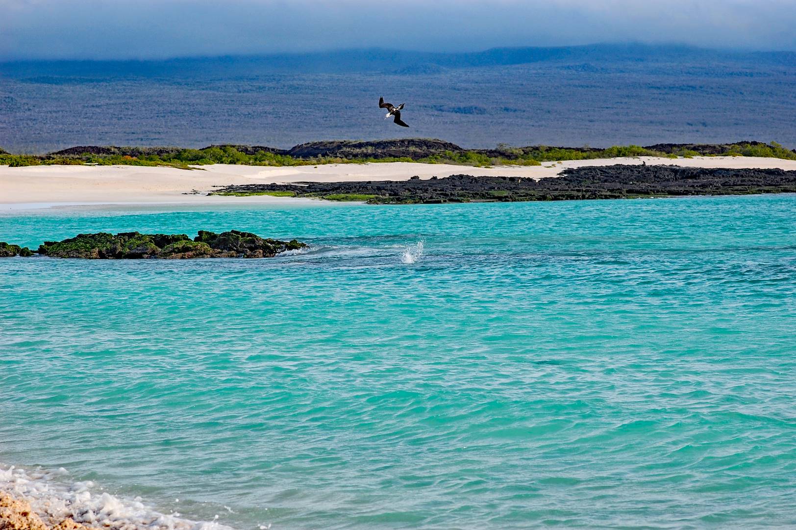Plage Cerro Brujo - San Cristobal - Îles Galapagos - Equateur