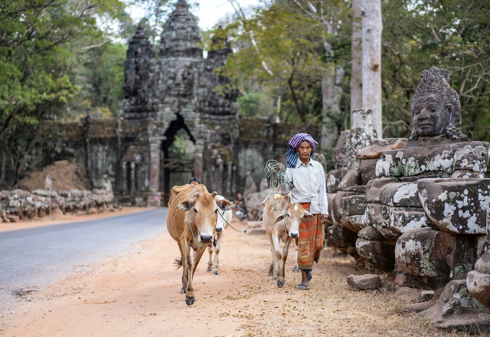 Temples d'Angkor - Cambodge