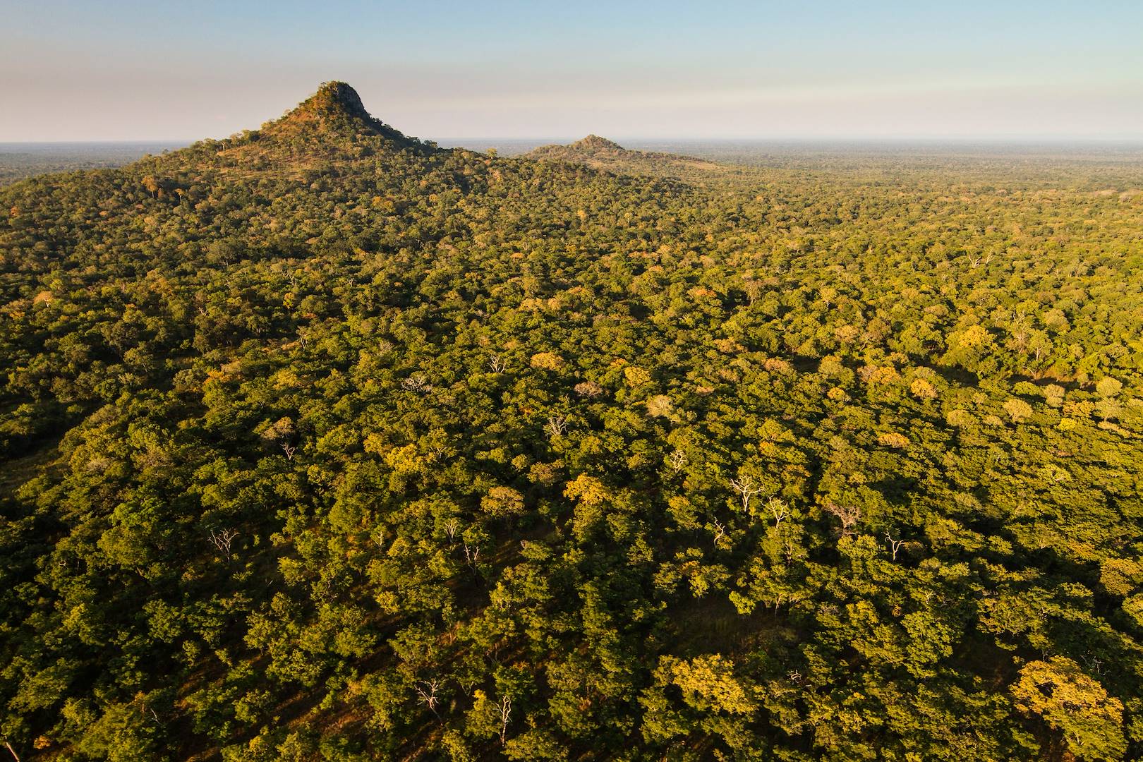 Parc national de Gorongosa - Mozambique