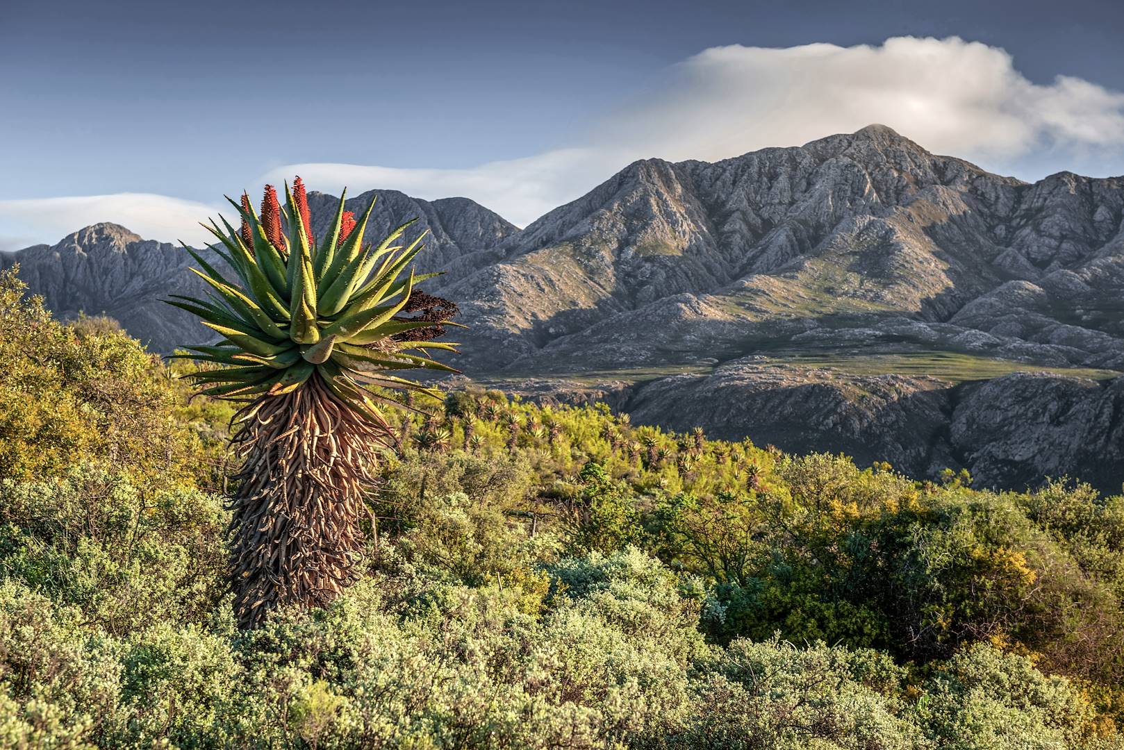 Parc national du Karoo - Afrique du Sud