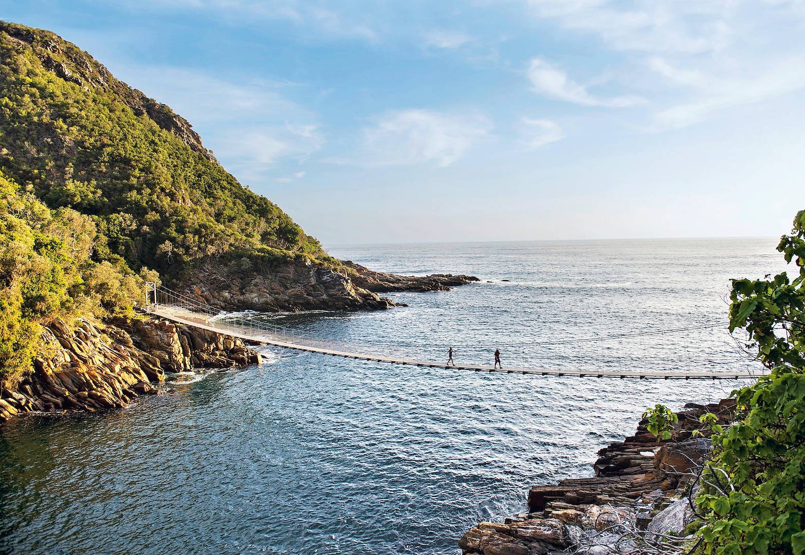 Parc national de Tsitsikamma - Afrique du sud