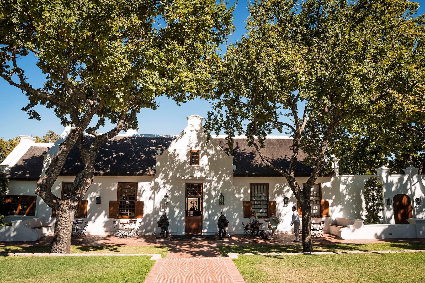 Vignoble à Stellenbosch - Afrique du Sud