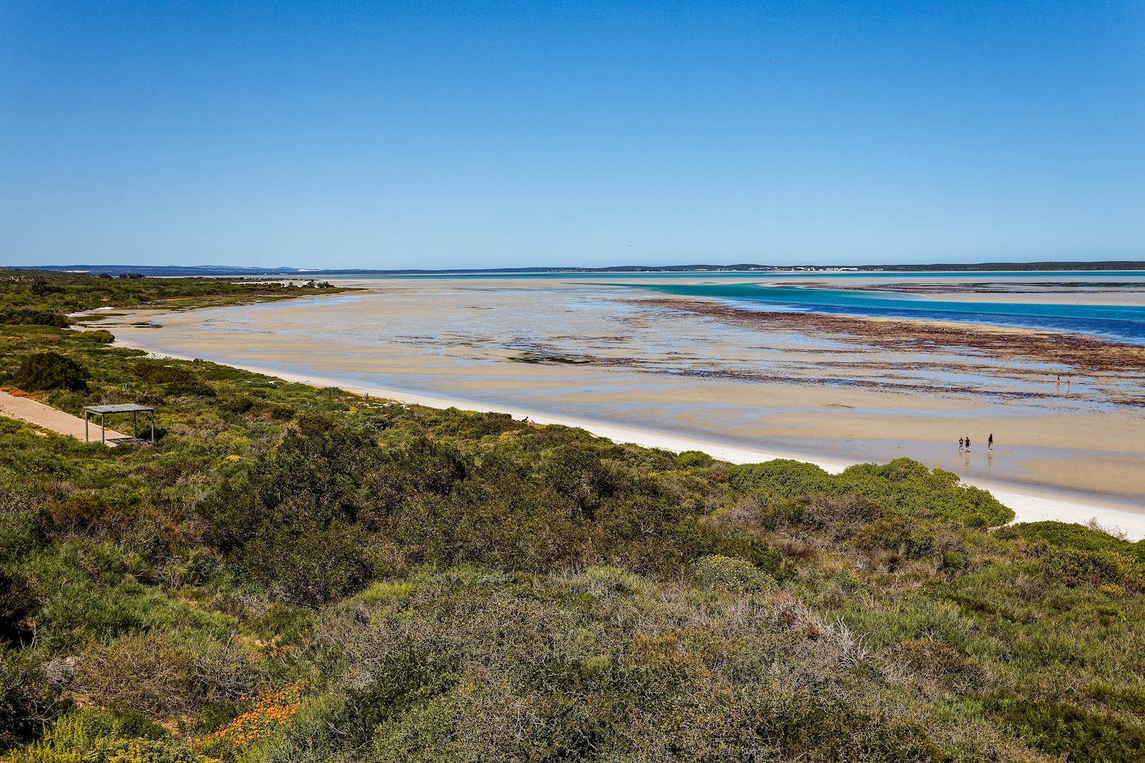 Parc national de la Côte Ouest - Langebaan - Afrique du Sud