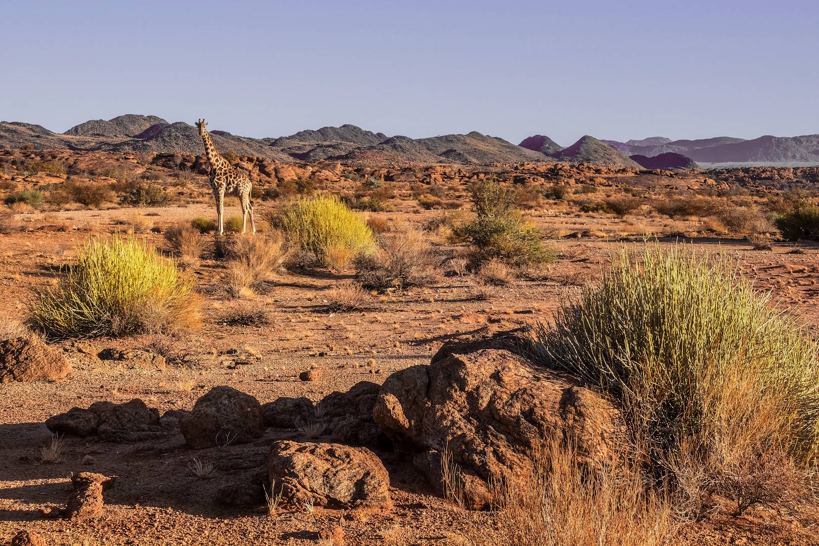 Parc national des chutes d'Augrabies - Afrique du Sud