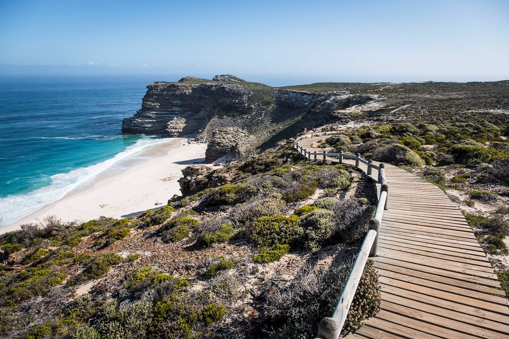 La Péninsule du Cap - Le Cap - Afrique du Sud