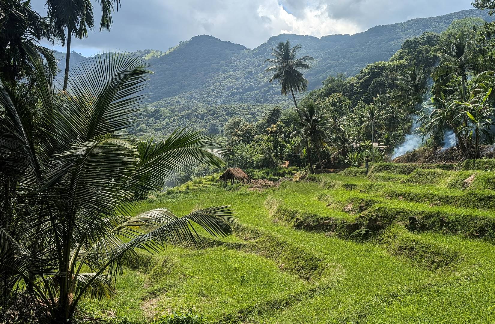 Découverte des rizières dans les Knuckles Range - Sri Lanka