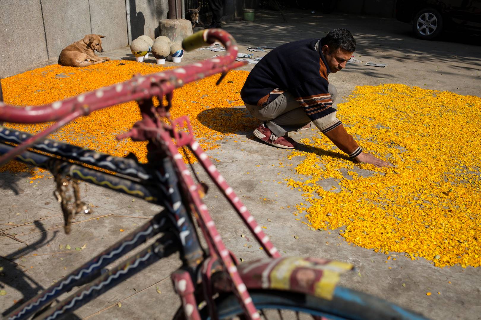 Recyclage des fleurs - Delhi - Inde