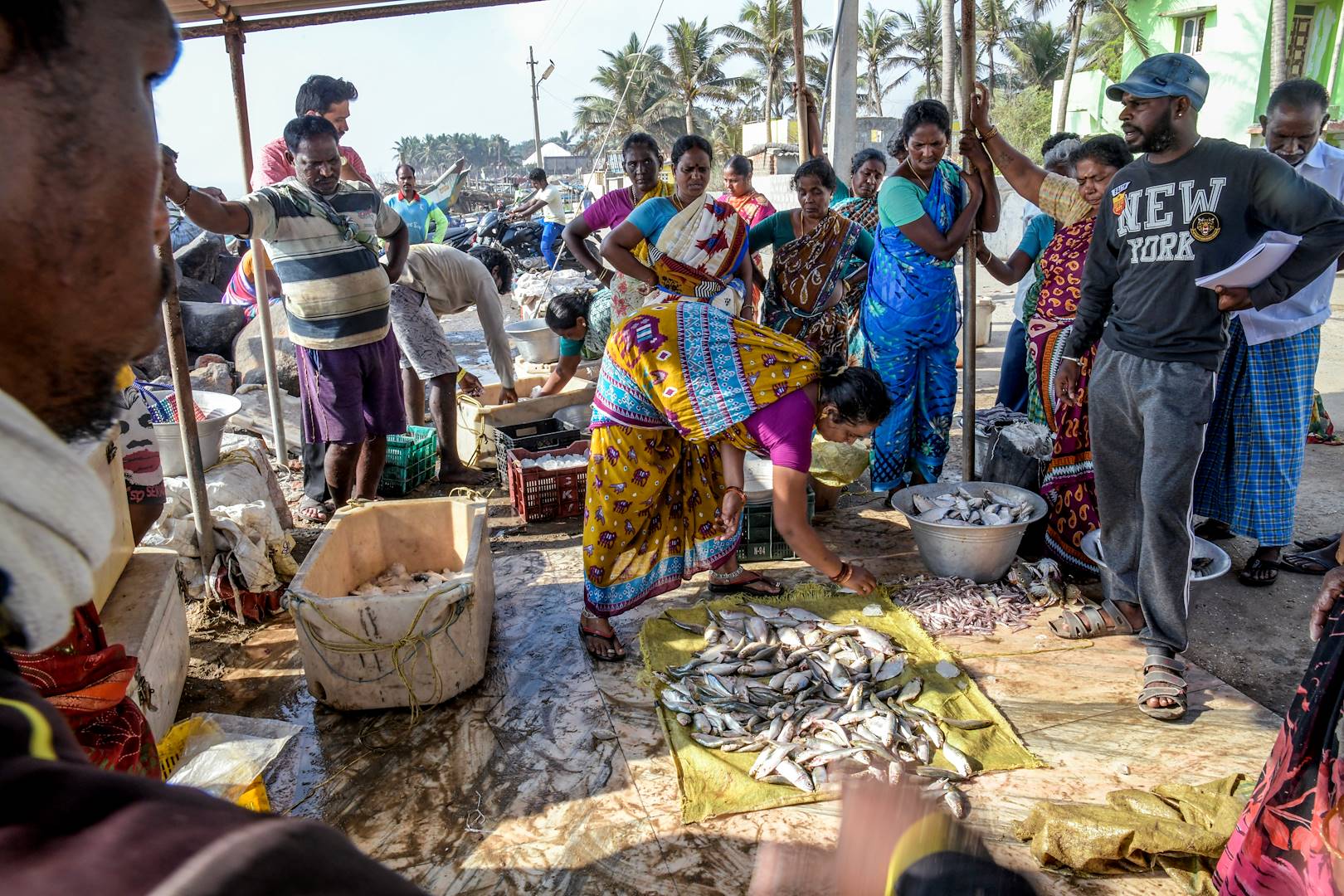 Marché aux poissons sur la plage - Kerala - Inde