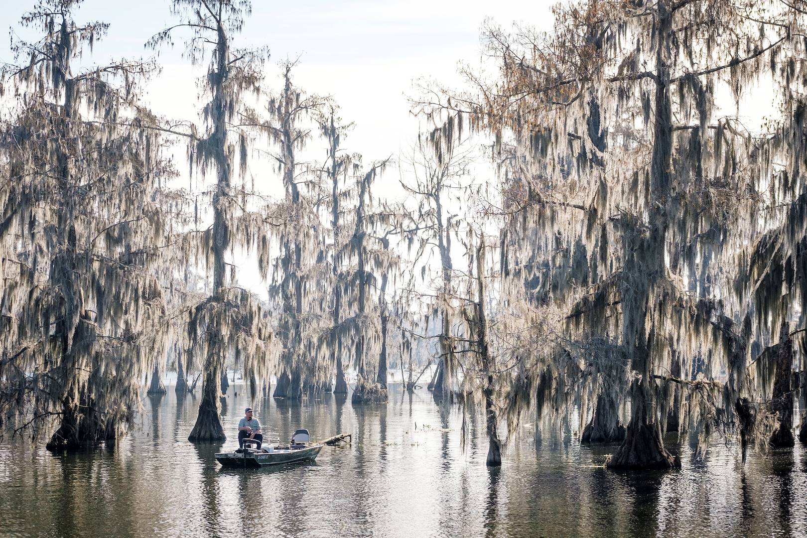 Tour du lac Martin - Louisiane - Etats Unis