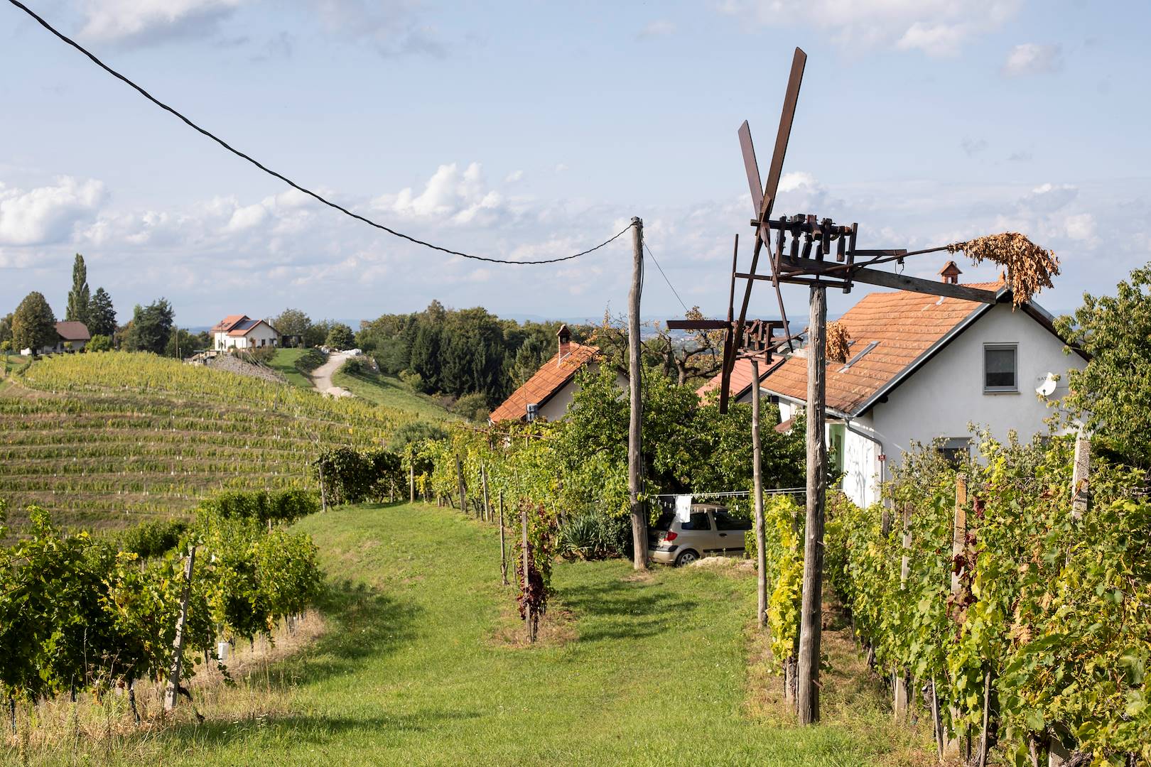 Découverte d'Ilok et ses domaines viticoles - Slavonie - Croatie