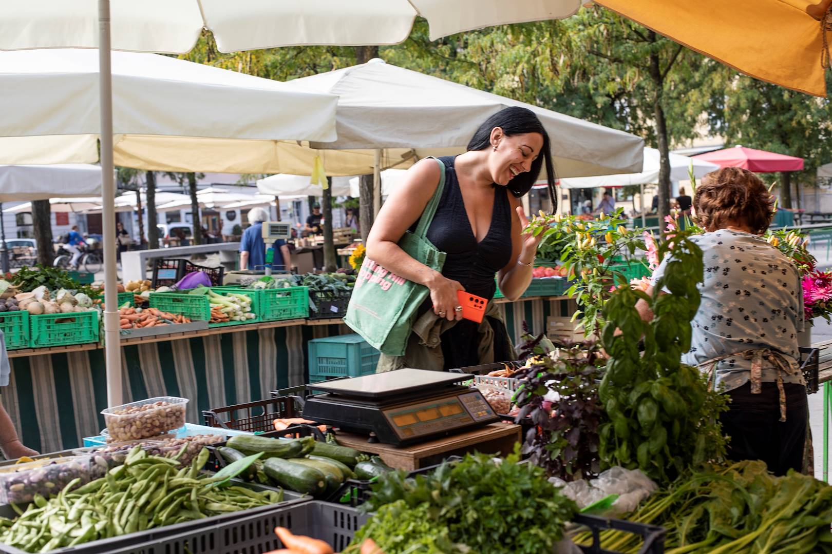 Scène de vie et rencontre sur le marché d'Osijek - Slavonie - Croatie