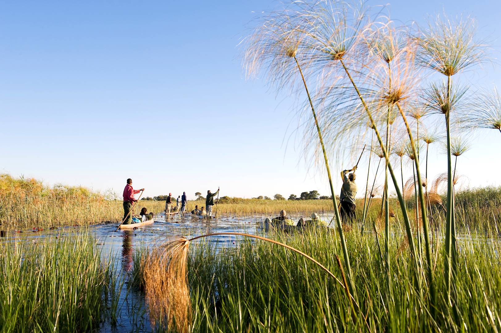 Traversée en Mokoro dans le delta de l'Okavango - Bostwana