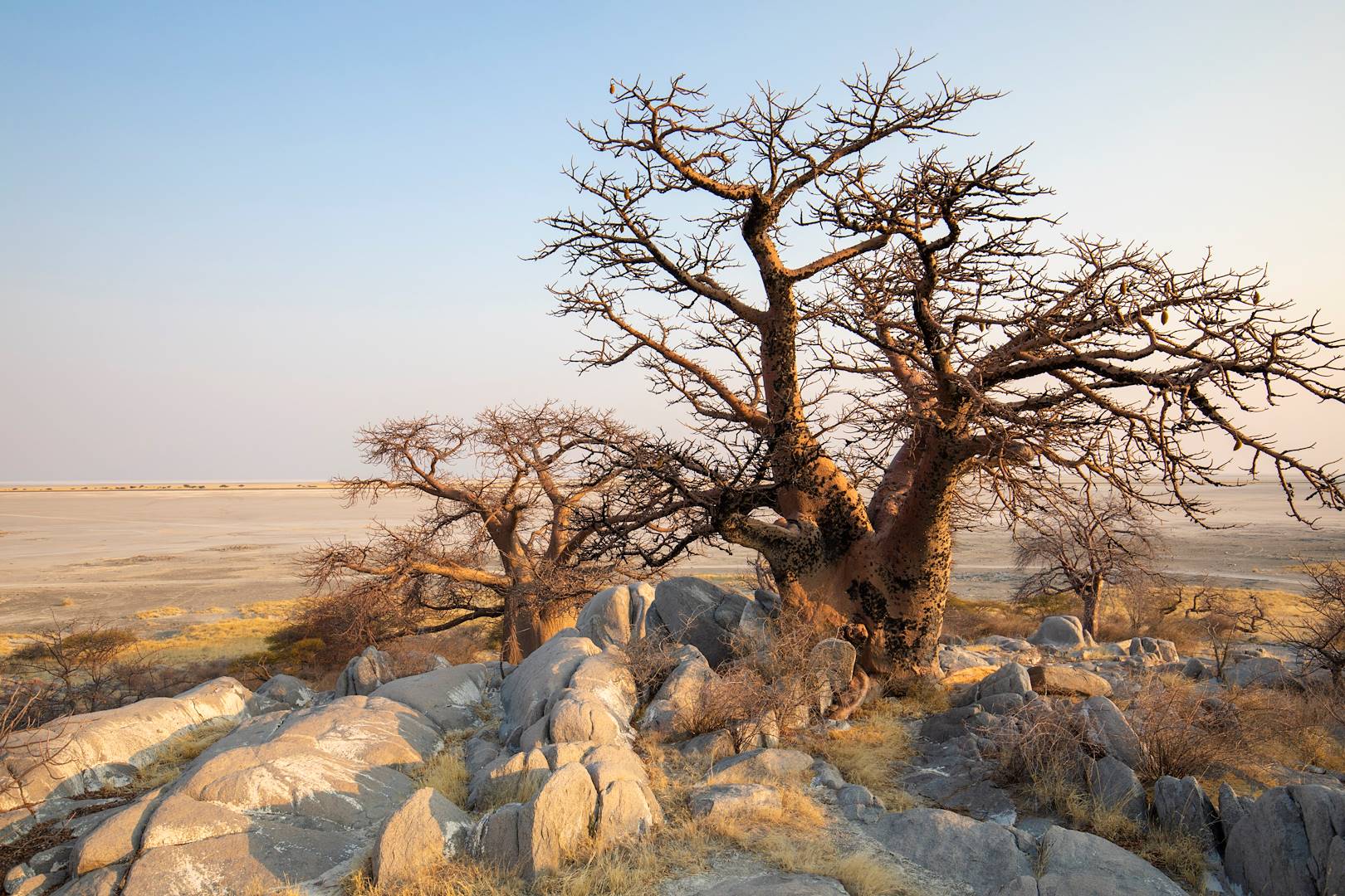 Coucher de soleil sur le Pan de Makgadikgadi - Botswana