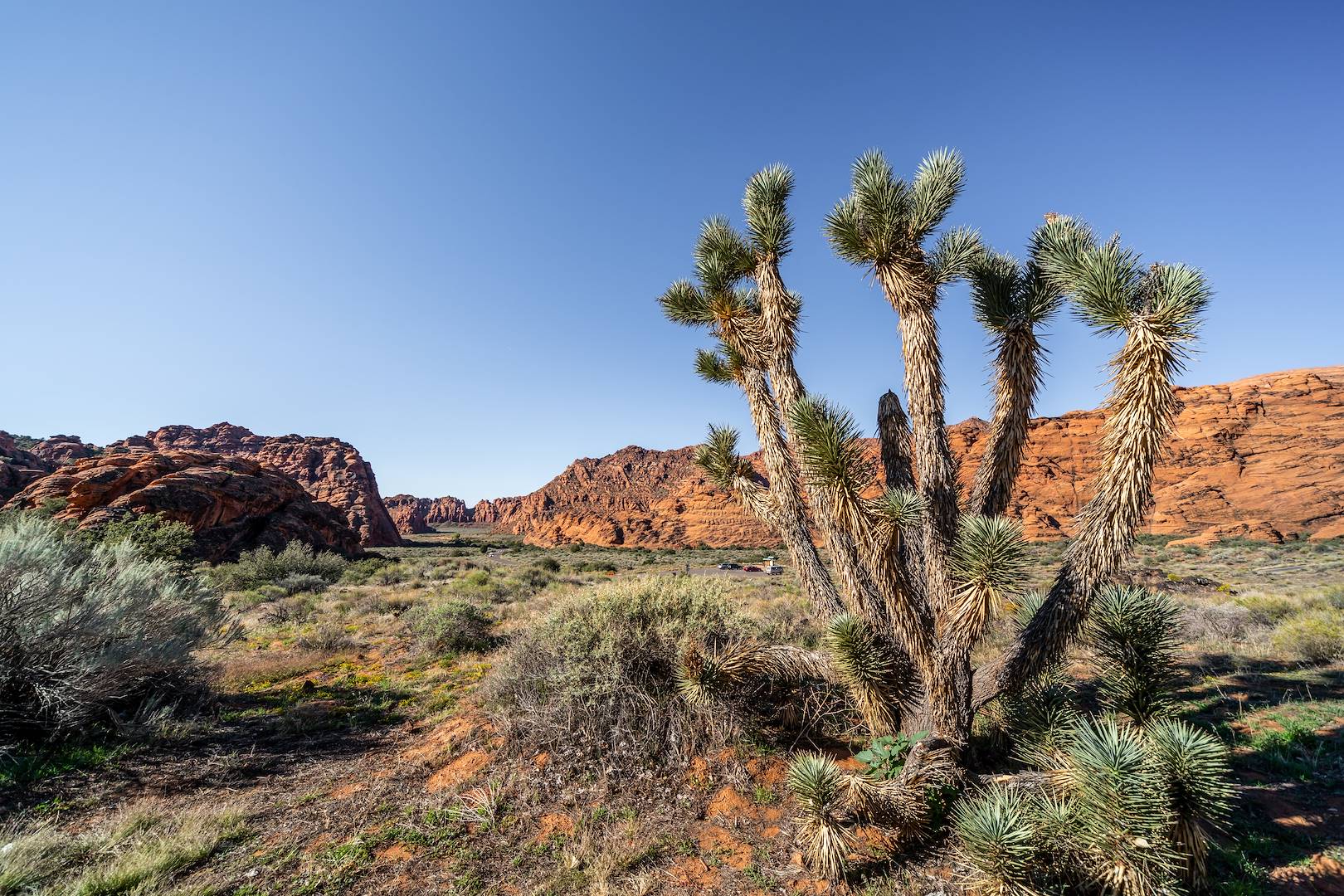 Snow Canyon State Park - Utah - Etats-Unis