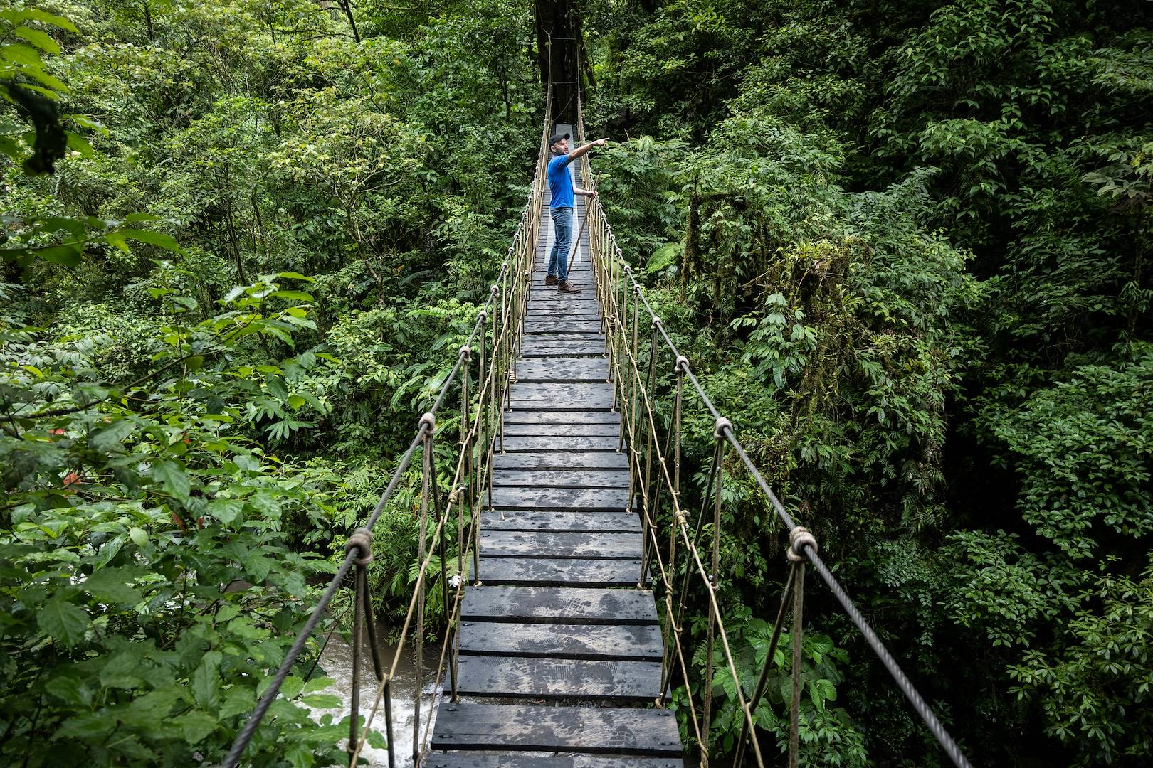 Au dessus de la canopée, sur les ponts suspendus de Monteverde - Costa Rica