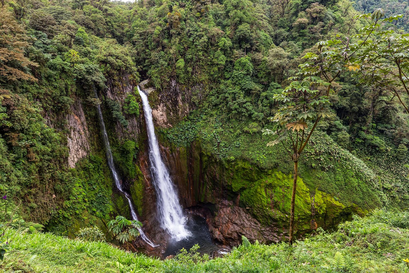 Cascade del Toro - Costa Rica