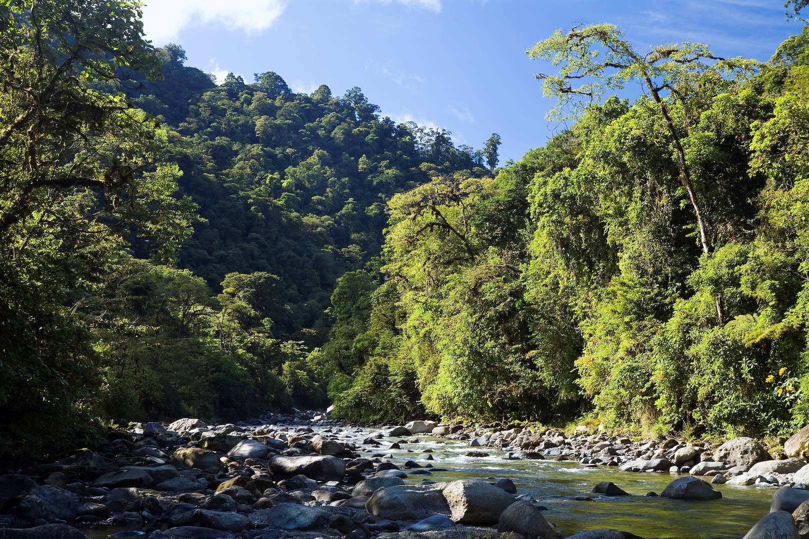 Rivière Orosi au Parc national Tapanti - Costa Rica