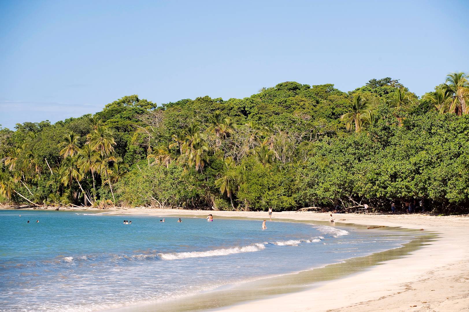Parc national de Cahuita, Province de Limon - Costa Rica