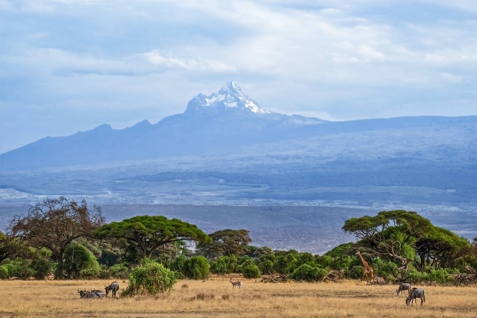 Mont Kenya, le deuxième sommet le plus haut d'Afrique - Kenya