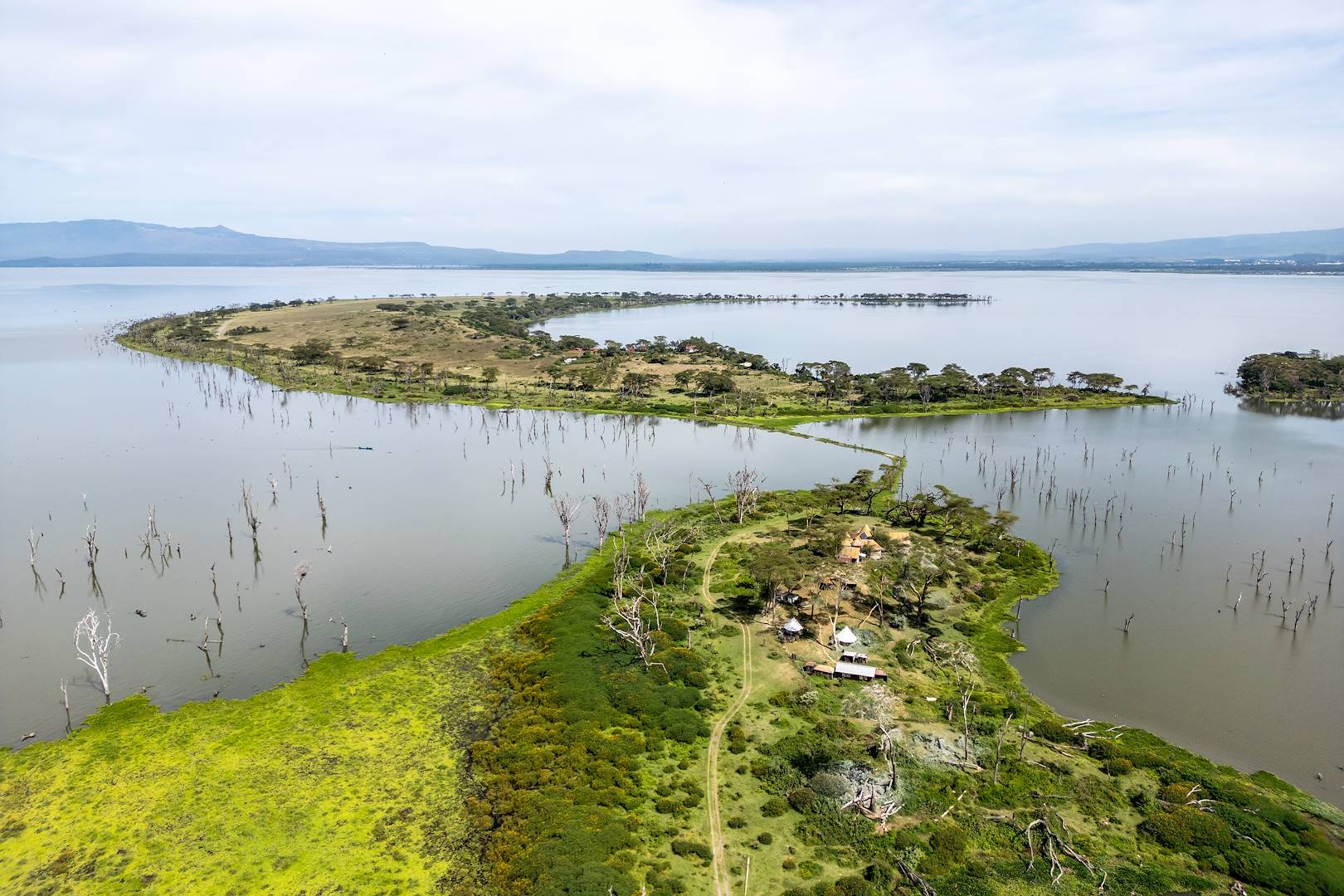 Lac Naivasha - Vallée du Grand Rift - Kenya
