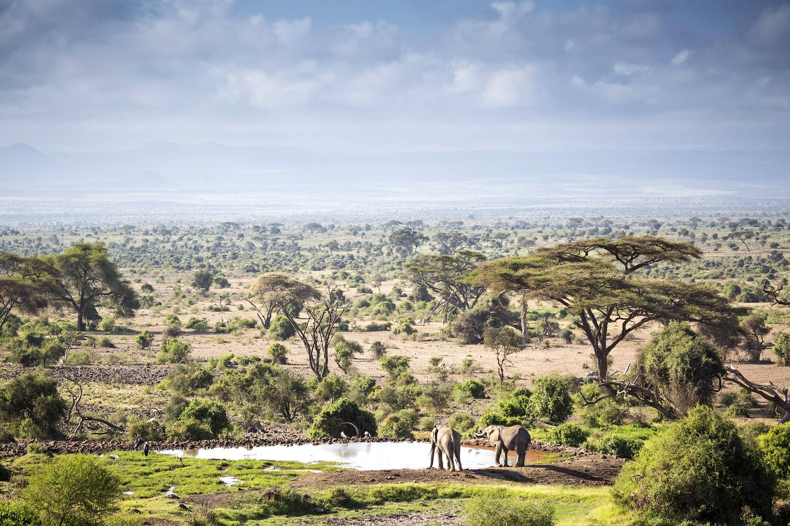 Parc national d'Amboseli - Kenya