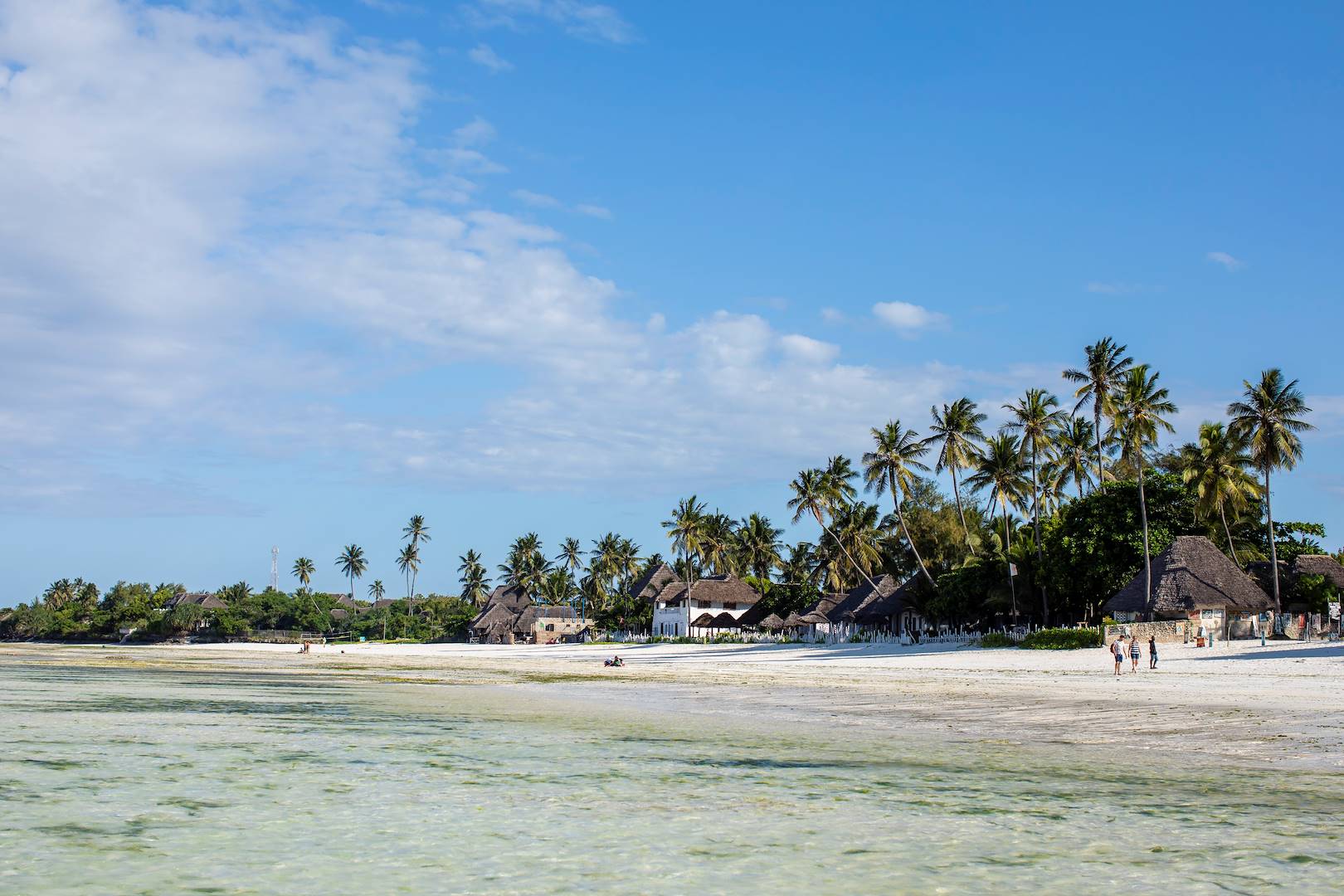 Sur les plages de Jambiani - Jambiani - Zanzibar Cote Est - Tanzanie