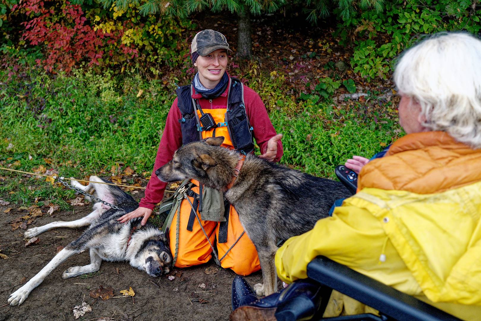 Kinadapt : traîneau à chiens adapté dans Lanaudière - Québec - Canada