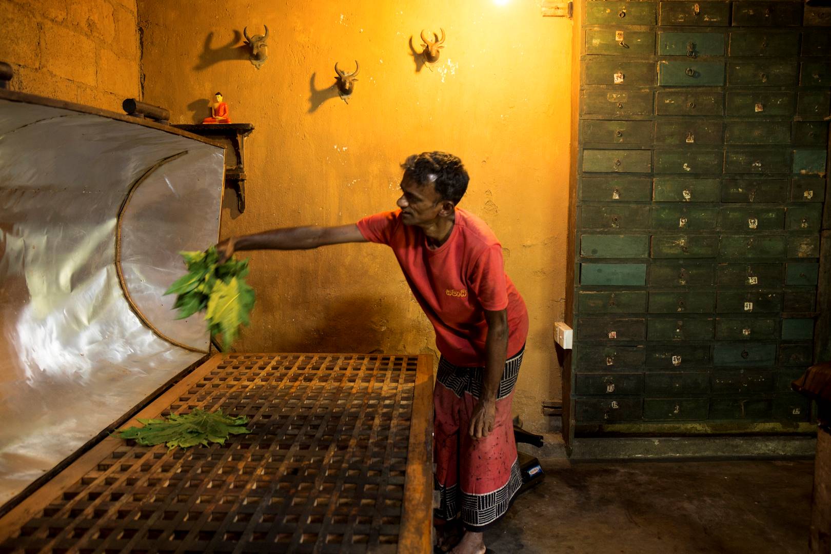 Employé préparant un bain à vapeur - Kandy - Centre - Sri Lanka