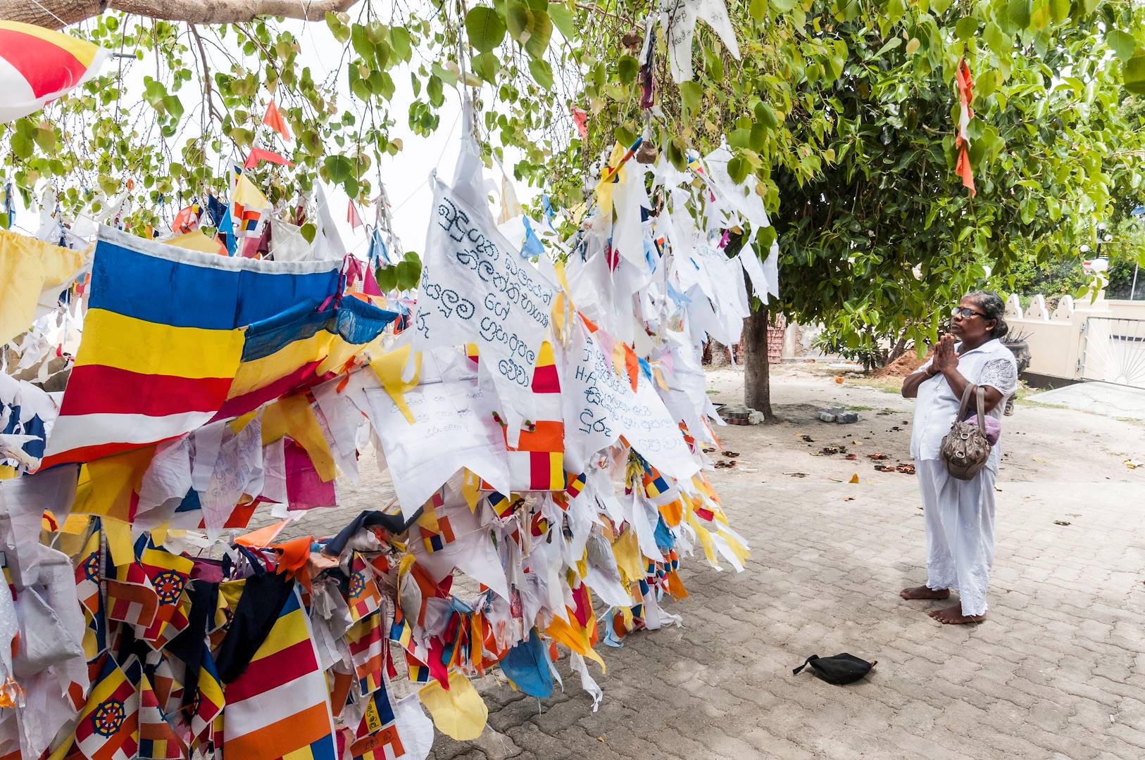 Spiritualité dans un temple bouddhiste - Anuradhapura - Sri Lanka