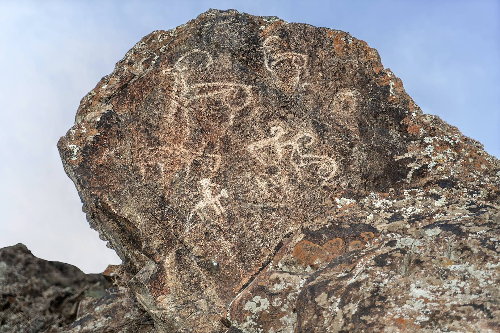 Pétroglyphes dans la région de Nourata - Ouzbékistan