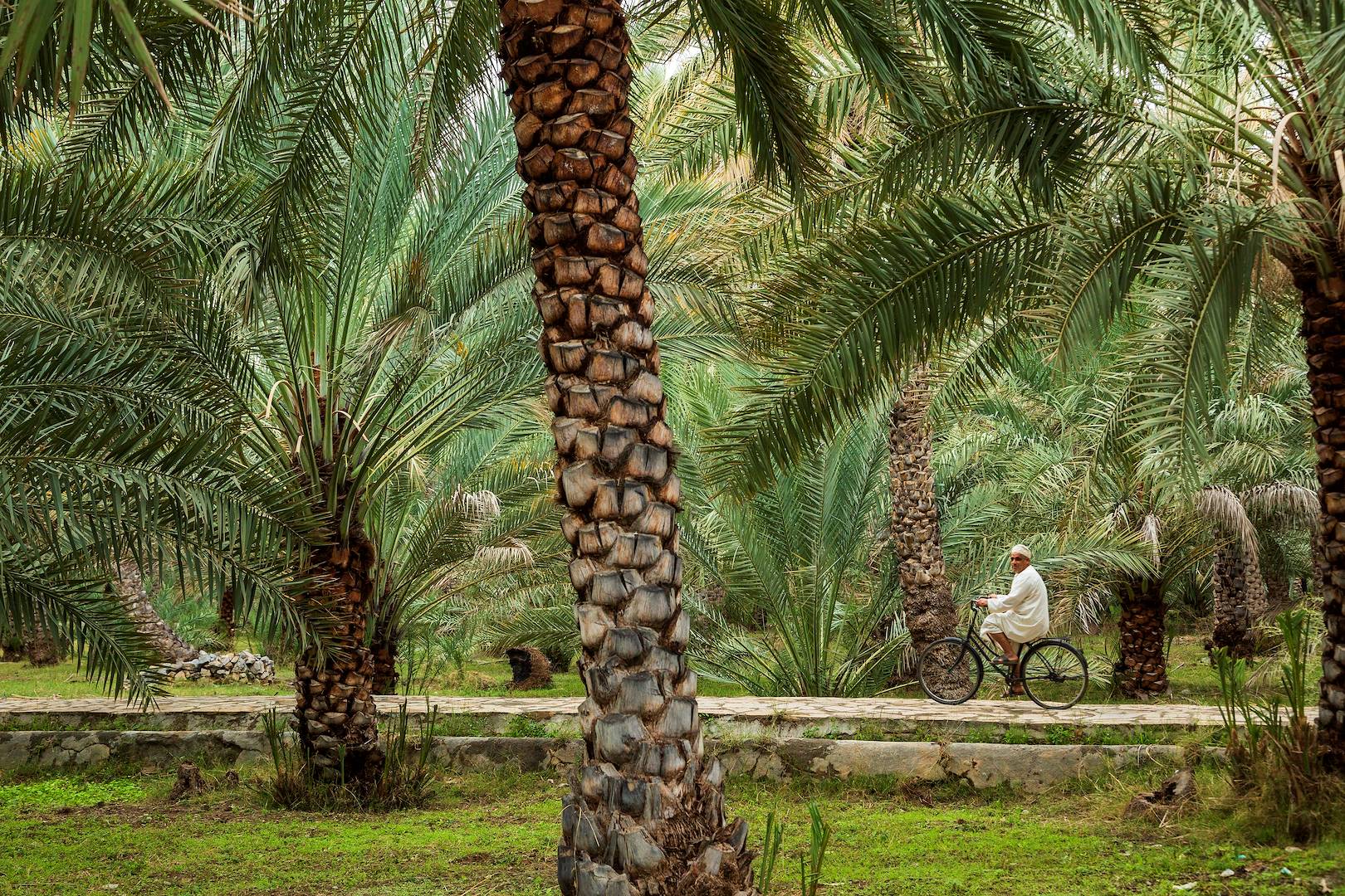 Homme à vélo dans l'oasis d'Al Hamra - Oman