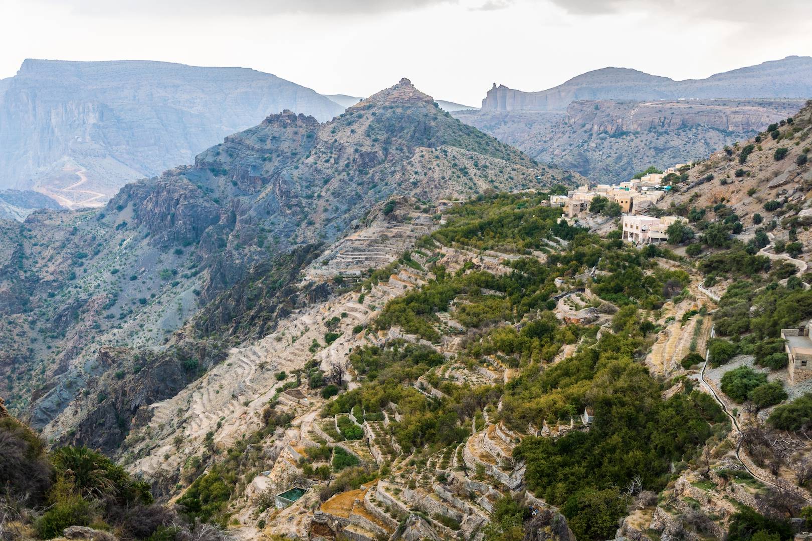 Plateau de Sayq - Jabal Al Akhdar - Oman