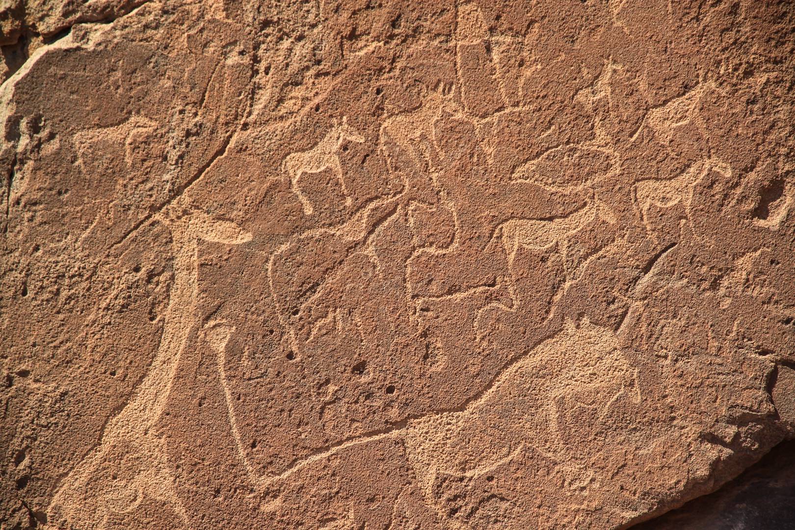 Peintures rupestres à Twyfelfontein - Damaraland - Namibie