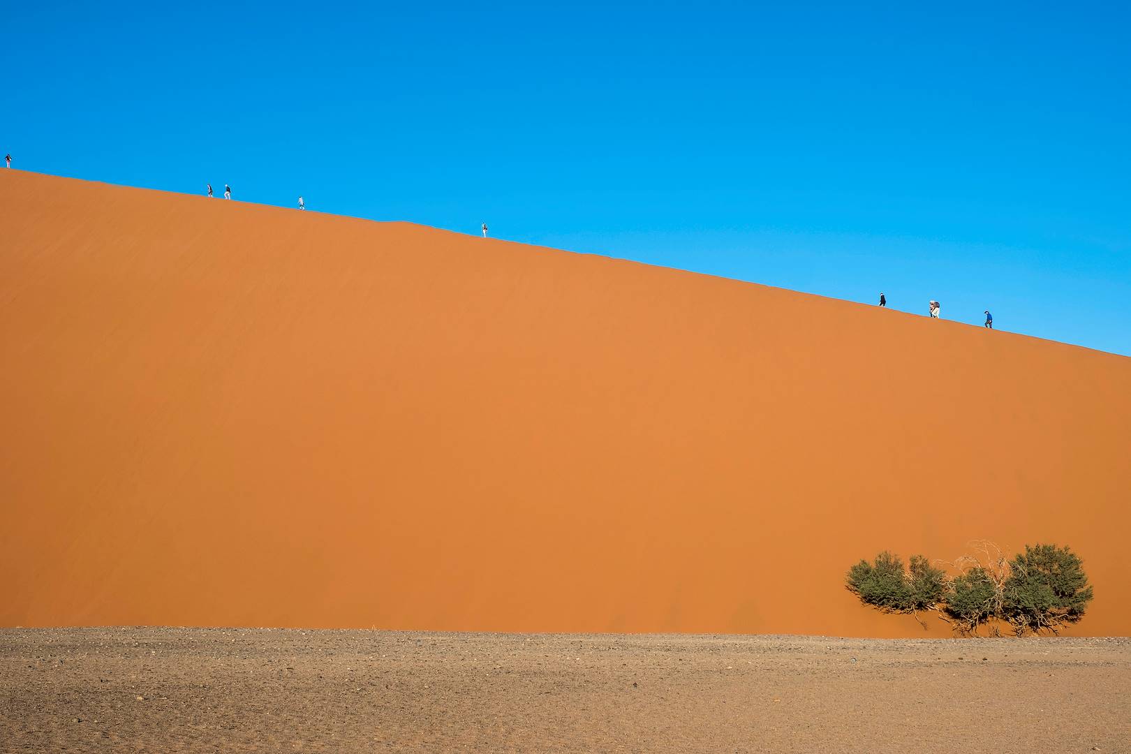 Désert de Sossusvlei - Désert du Namib - Namib Naukluft - Namibie