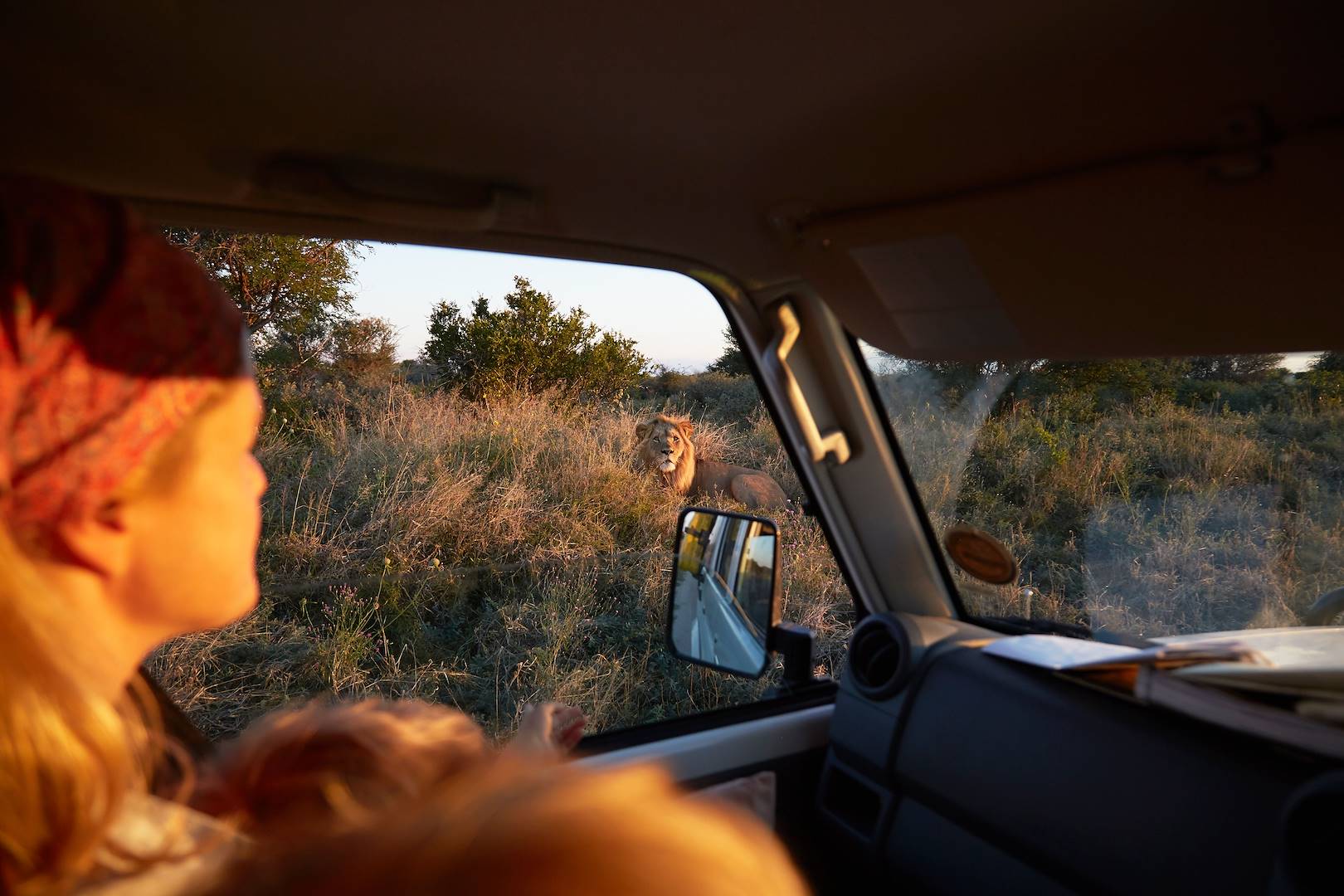 Safari en famille en Namibie : rencontre avec les lions à la tombée du jour