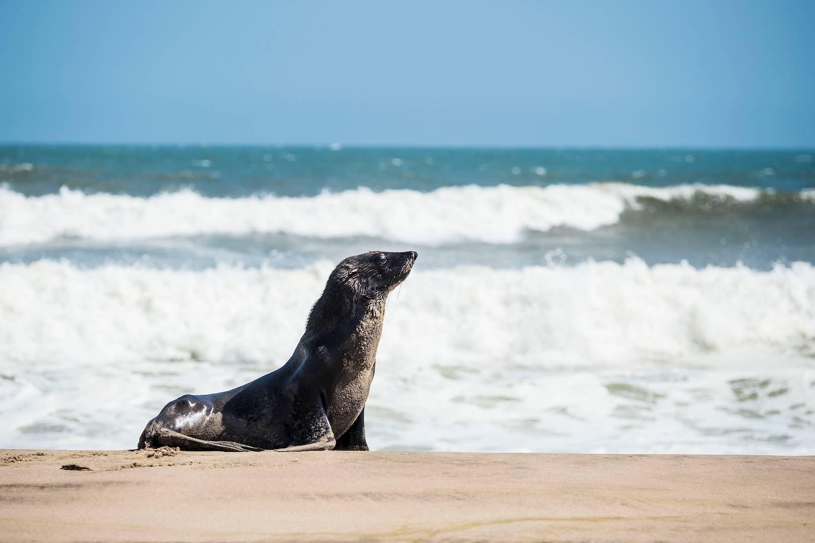 Sandwich Harbour - Parc du Namib - Walvis Bay - La Cote - Namibie