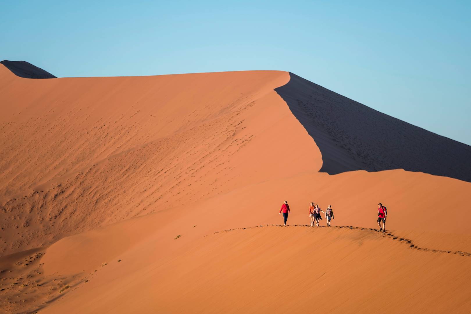 Désert de Sossusvlei - Désert du Namib - Namib Naukluft - Namibie